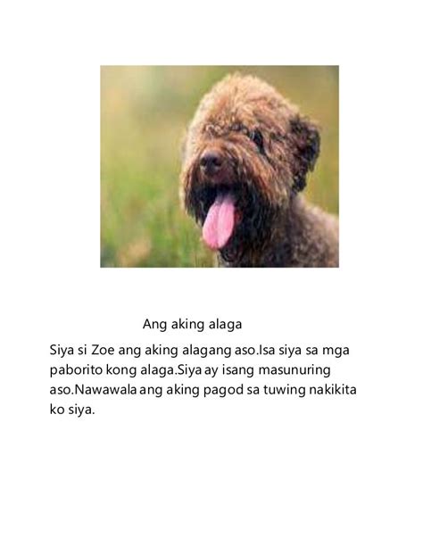 nagpakantot sa alagang aso|Iyot kalimot ang inabot ng babae sa nobyo nyang kastang aso.